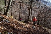 Autunnale in CIMA MENNA da Zorzone con discesa dal Chignol d’Arale il 19 novembre 2015  - FOTOGALLERY